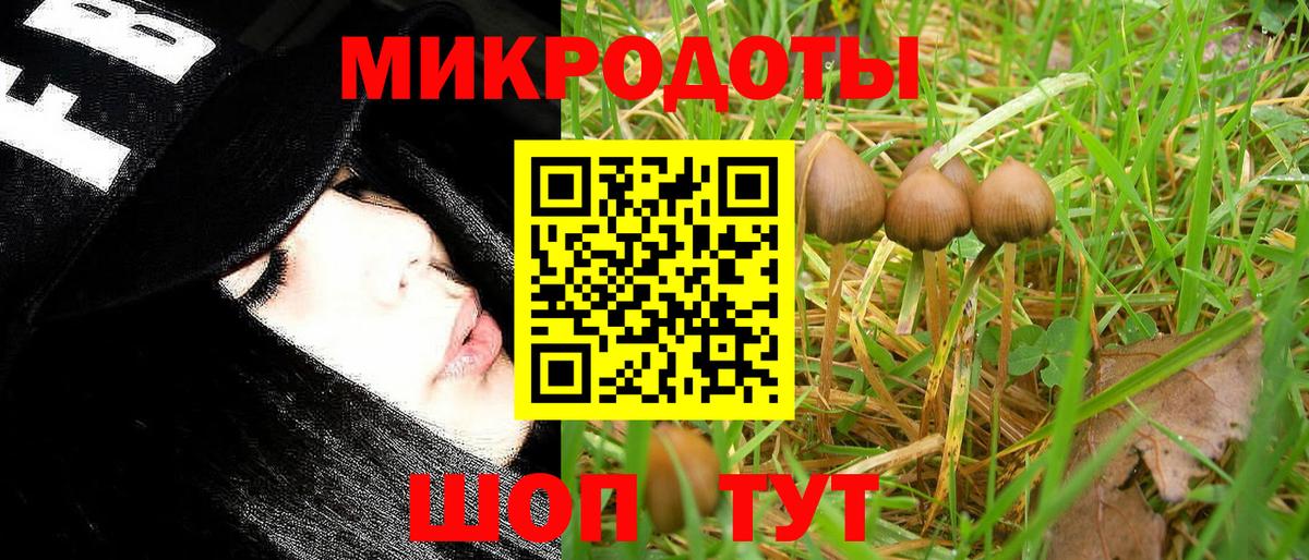 Галлюциногенные грибы мицелий  как найти наркотики  Балашиха  Вход с VPN 