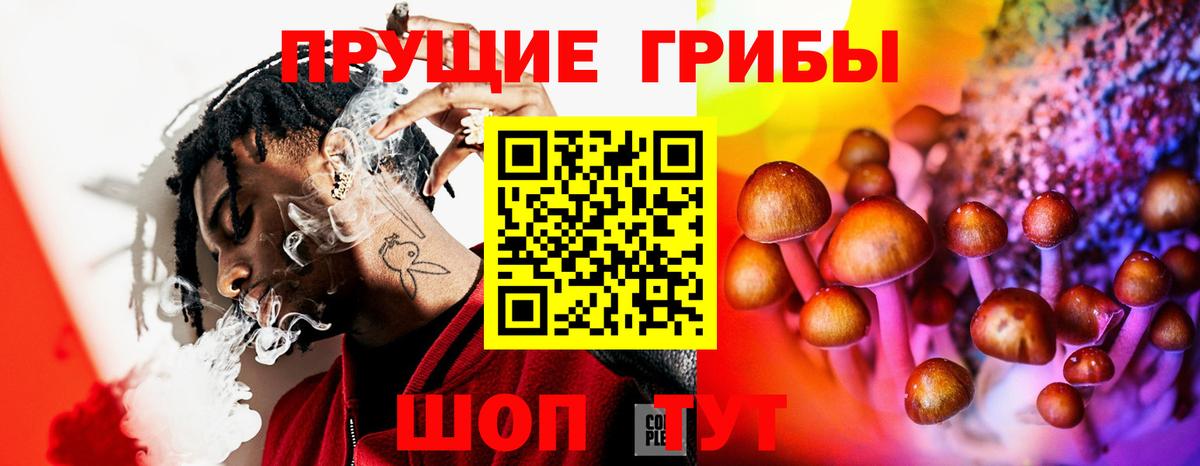 Галлюциногенные грибы Psilocybe Балашиха